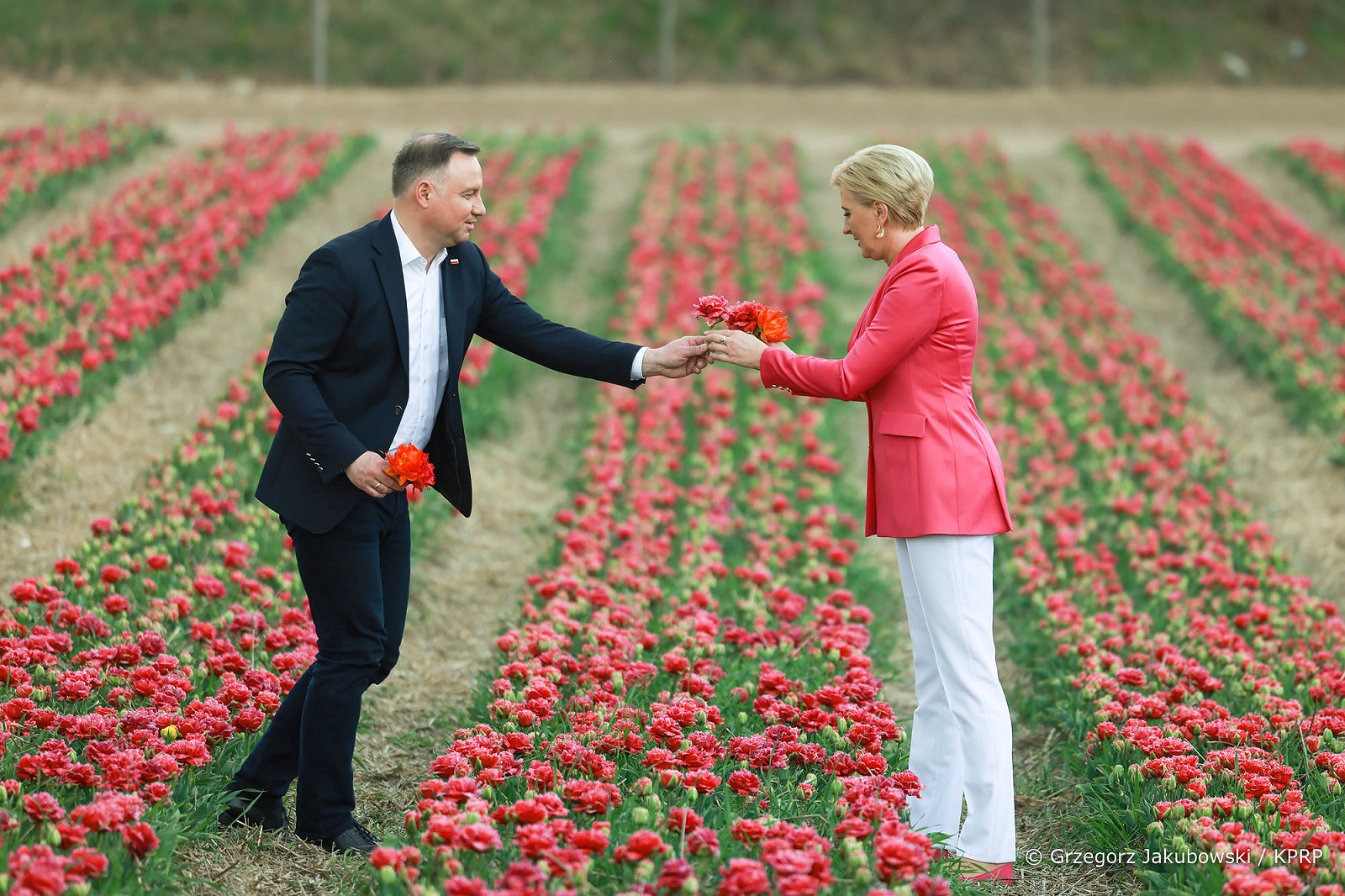 tulipany.jpg [569.18 KB]