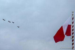 15__Andrzej_Duda_83_rocznica_wybuchu_II_wojny_swiatowej_Westerplatte_20220901_MB1_7037.jpg