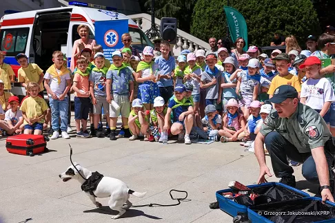 bezpieczne wakacje 3.webp