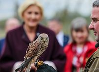 002_Agata_Kornhauser_Duda_Osrodek_Edukacji_Przyrodniczej_Umianowice_20241003_GJB_6970.jpg