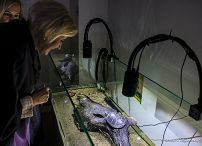 017_Agata_Kornhauser_Duda_Osrodek_Edukacji_Przyrodniczej_Umianowice_20241003_GJA_7425.jpg