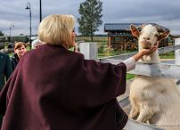 013_Agata_Kornhauser_Duda_Osrodek_Edukacji_Przyrodniczej_Umianowice_20241003_GJA_7280.jpg