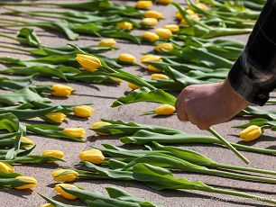 008_Minister_Grazyna_Ignaczak_Bandych_Tulipany_dla_Marii_Kaczynskiej_20240413_1S5A3602.jpg