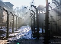 001_a_Prezydent_Andrzej_Duda_Auschwitz_80_rocznica_wyzwolenia_obozu_20250127_MB1_6815.jpg