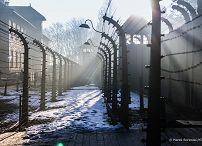 037_001_a_Prezydent_Andrzej_Duda_Auschwitz_80_rocznica_wyzwolenia_obozu_20250127_MB1_6815.jpg