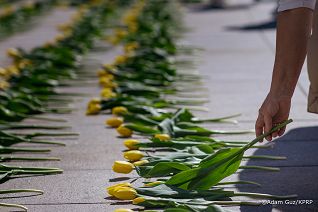 011_Katarzyna_Pawlak_Mucha_Tulipany_pamięci_Marii_Kaczyńskiej_13-04-2025_LB_22826.jpg.JPG