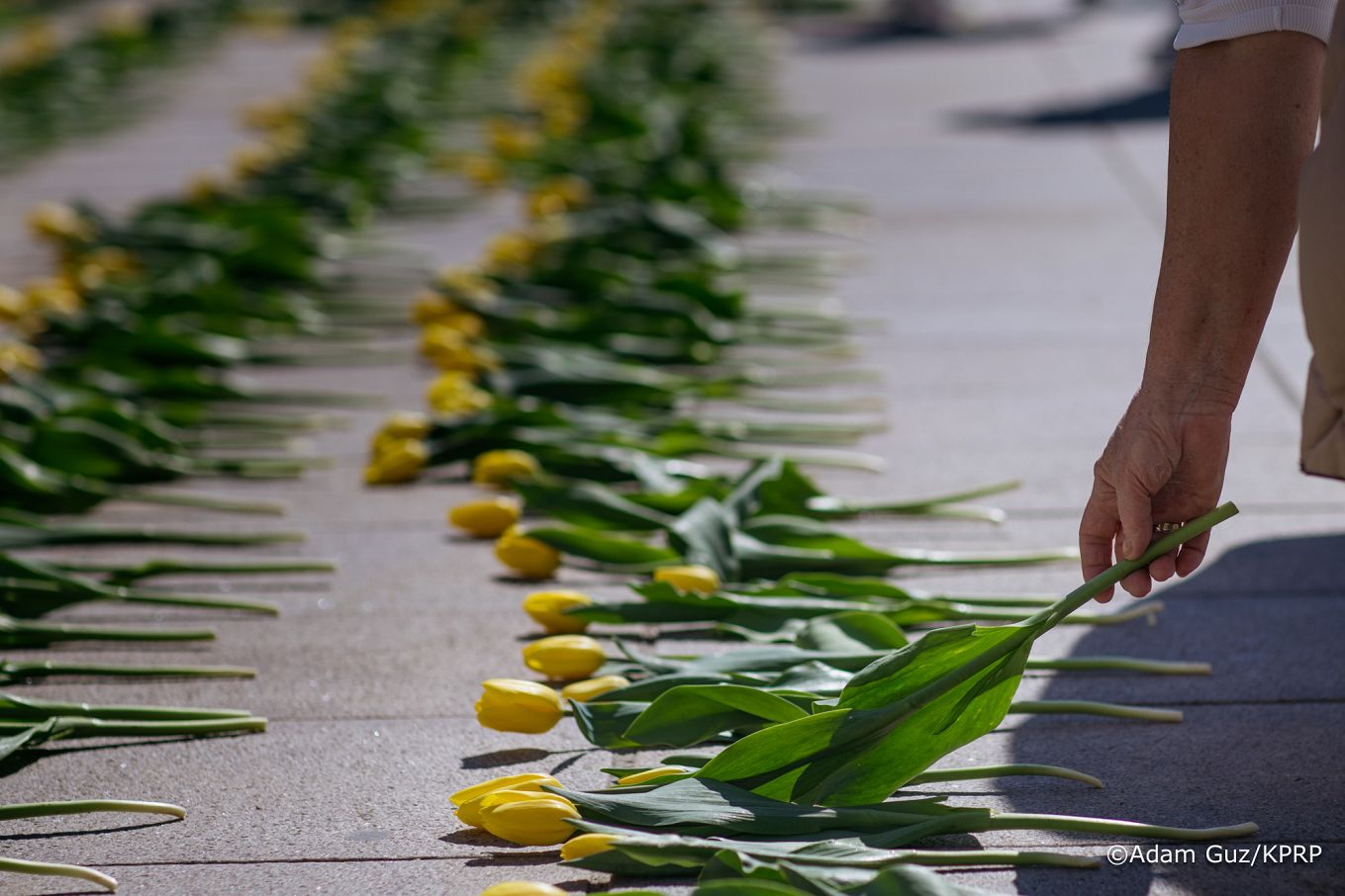 011_Katarzyna_Pawlak_Mucha_Tulipany_pamięci_Marii_Kaczyńskiej_13-04-2025_LB_22826.jpg.JPG