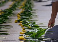 011_Katarzyna_Pawlak_Mucha_Tulipany_pamięci_Marii_Kaczyńskiej_13-04-2025_LB_22826.jpg.JPG