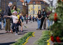 013_Katarzyna_Pawlak_Mucha_Tulipany_pamięci_Marii_Kaczyńskiej_13-04-2025_LB_22481.jpg.JPG