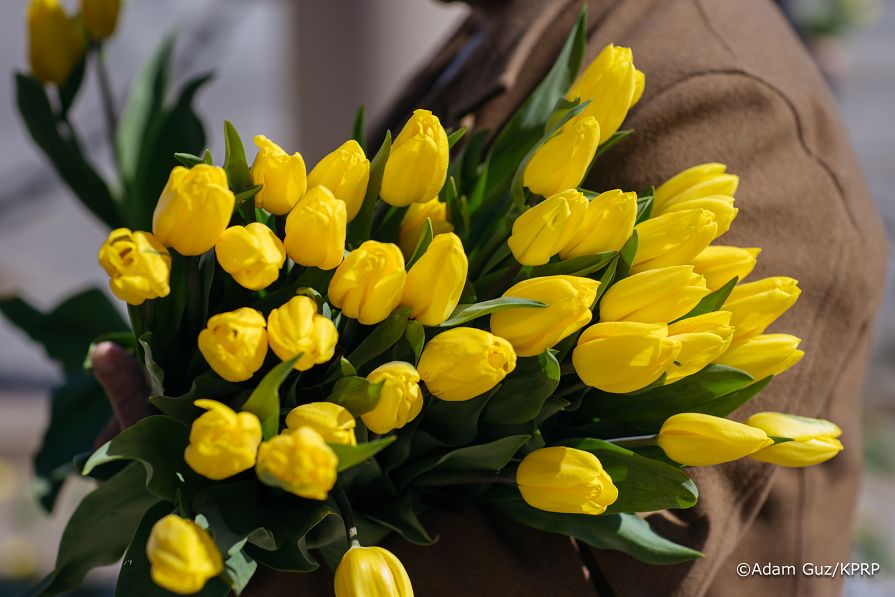 007_Katarzyna_Pawlak_Mucha_Tulipany_pamięci_Marii_Kaczyńskiej_13-04-2025_LB_22763.jpg.JPG