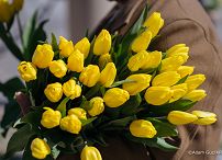 007_Katarzyna_Pawlak_Mucha_Tulipany_pamięci_Marii_Kaczyńskiej_13-04-2025_LB_22763.jpg.JPG