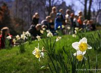013_Agata_Kornhauser_Duda_Spotkanie_uczniowie_SP_w_Markach_02-04-2025_GJA_1386.jpg.JPG