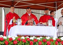 002_Minister_Katarzyna_Pawlak_Mucha_obchody_82_rocznicy_pacyfikacji_wsi_Michniow_20250712_1S9A7830.jpg