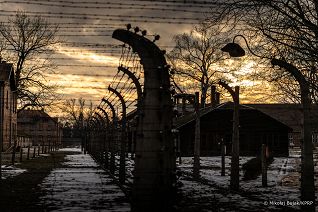018_Prezydent_Karol_Nawrocki_Auschwitz_rocznica_wyzwolenia_obozu_20260127_MWB10838.jpg