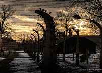 018_Prezydent_Karol_Nawrocki_Auschwitz_rocznica_wyzwolenia_obozu_20260127_MWB10838.jpg