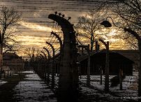 016_Prezydent_Karol_Nawrocki_81_rocznica_wyzwolenia_Auschwitz_20260127_MWB10838.jpg