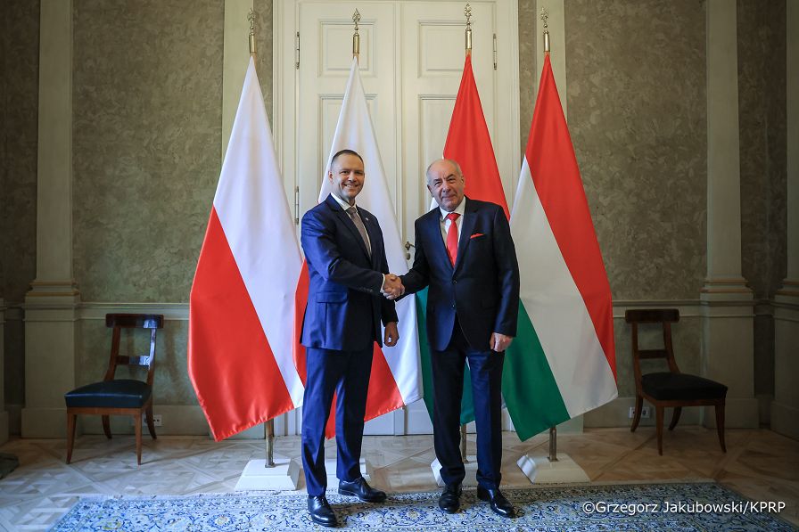 026_Prezydent Karol Nawrocki_Wizyta robocza Prezydenta RP na Węgrzech_Spotkanie z Prezydentem Węgier Tamasem Sulyokiem_23-03-2026_GJA_1977.jpg.JPG