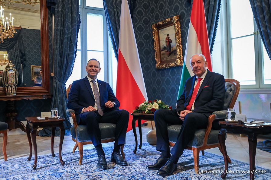 028_Prezydent Karol Nawrocki_Wizyta robocza Prezydenta RP na Węgrzech_Spotkanie z Prezydentem Węgier Tamasem Sulyokiem_23-03-2026_GJA_2130.jpg.JPG