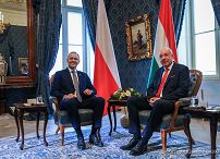 028_Prezydent Karol Nawrocki_Wizyta robocza Prezydenta RP na Węgrzech_Spotkanie z Prezydentem Węgier Tamasem Sulyokiem_23-03-2026_GJA_2130.jpg.JPG