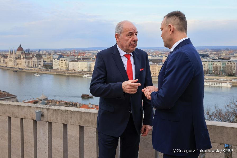 032_Prezydent Karol Nawrocki_Wizyta robocza Prezydenta RP na Węgrzech_Spotkanie z Prezydentem Węgier Tamasem Sulyokiem_23-03-2026_GJA_2297.jpg.JPG