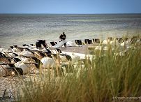 001_Jurata_przygotowania_spotkanie_z_mlodzieza_20260828_LB_27065.jpg